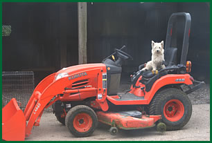 Dogs will feel at home at Field Farm