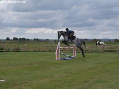 Photo - Grange riding club traing weekend img 3