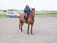 Photo - Grange riding club training weekend img 4