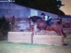 Photo - Bacardi Jumping xc Fence Number 3 