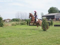 Photo - South Wold Hunt South Pony Club Aug 09