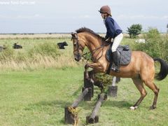 Photo - South Wold Hunt South Pony Club Aug 09