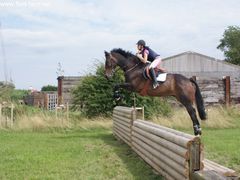 Photo - South Wold Hunt South Pony Club Aug 09