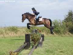 Photo - South Wold Hunt South Pony Club Aug 09