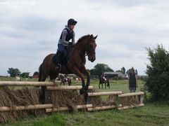 Photo - South Wold Hunt South Pony Club Aug 09