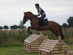 Photo - South Wold Hunt South Pony Club Aug 09