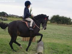 Photo - South Wold Hunt South Pony Club Aug 09