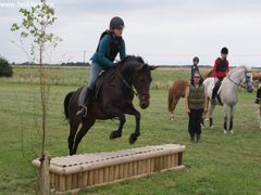 Photo - South Wold Hunt South Pony Club Aug 09