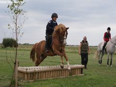 Photo - South Wold Hunt South Pony Club Aug 09