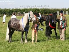 Photo - ludworth boys taking champion and reserve showland