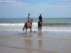 Photo - Frankie and Abbey going paddling