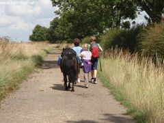 Photo - Intrepid explorers.....