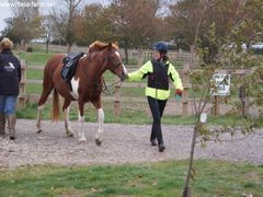 Photo - Riding Club training event with Amy McMahon