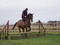 Photo - Riding Club training event with Amy McMahon