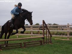 Photo - Riding Club training event with Amy McMahon