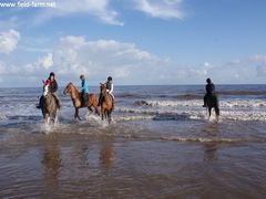 Photo - November!!!  It was like a summers day!!