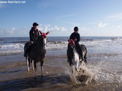 Photo - Beach riding in November... 