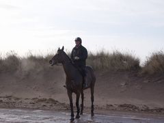 Photo - Christmas beach ride 2