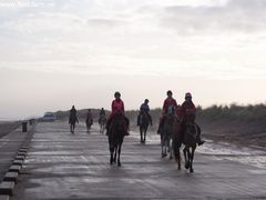 Photo - Christmas beach ride 3