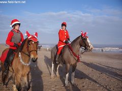 Photo - Christmas beach ride 11