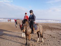 Photo - Christmas beach ride 19