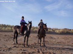 Photo - Christmas beach ride 23