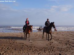 Photo - Christmas beach ride 26