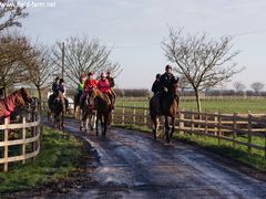 Photo - Christmas beach ride 32