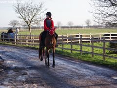 Photo - Christmas beach ride 39