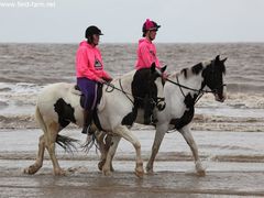 Photo - Enjoying The Sea :)))