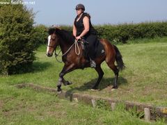 Photo - Reegie and Deanna jumping (first time over ditch)