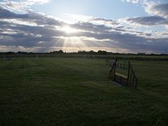 Photo - Sunset over the showjumping paddock