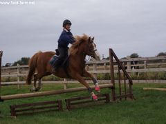 Photo - Riding Club training event with Amy McMahon