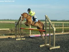 Photo - Jemma on Toffee jumping 95cms